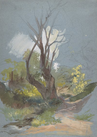 Bergpad met een boom door Friedrich Nerly