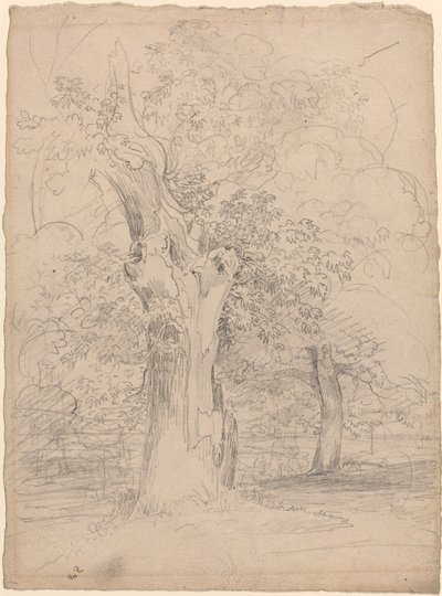 Een oude boom met figuren in een landschap door Friedrich Salathé