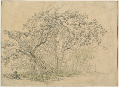 Boomgaard [verso] door Friedrich Salathé