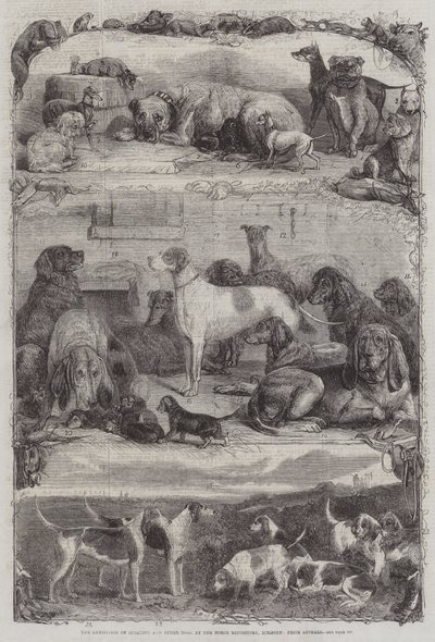 De Tentoonstelling van Sport- en andere Honden in de Paardenrepository, Holborn, Prijsdieren door Friedrich Wilhelm Keyl