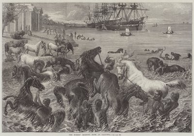 Het ochtendbad van de paarden in Calcutta door Friedrich Wilhelm Keyl