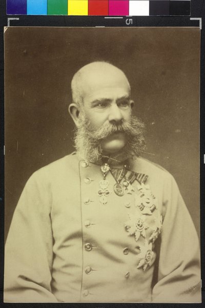 Franz Joseph I door Fritz Luckhardt