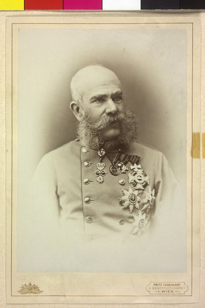Franz Joseph I door Fritz Luckhardt