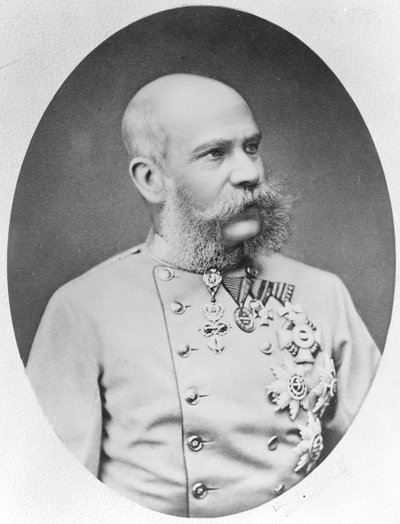 Franz Joseph I door Fritz Luckhardt