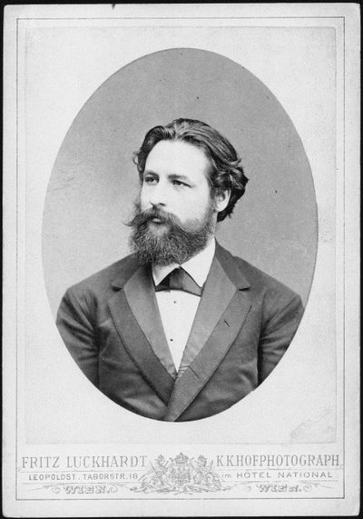 Portret van de pianist en componist Heinrich Karl Johann Hofmann 1842-1902 door Fritz Luckhardt