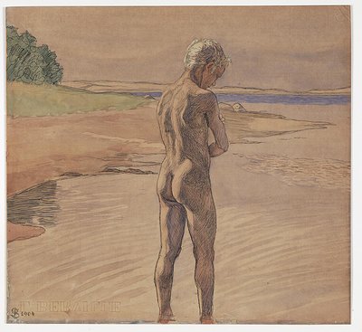 Hans staande in het water. Motief van Fyns Hoved door Fritz Syberg