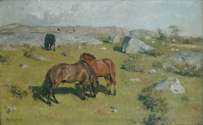  door Fritz Thaulow