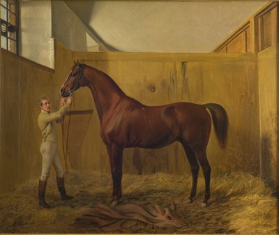 Rubini door Fritz Thomsen