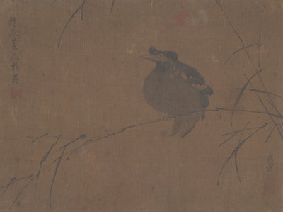 Mynah op Riet door Fulan Taorên.
