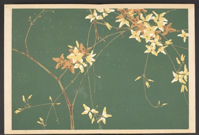Shasei sôka môyô, Patronen van planten en bloemen uit het leven door Furuya Korin