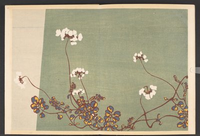 Shasei sôka môyô, Patronen van planten en bloemen uit het leven door Furuya Korin