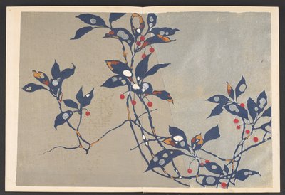 Shasei sôka môyô, Patronen van planten en bloemen uit het leven door Furuya Korin
