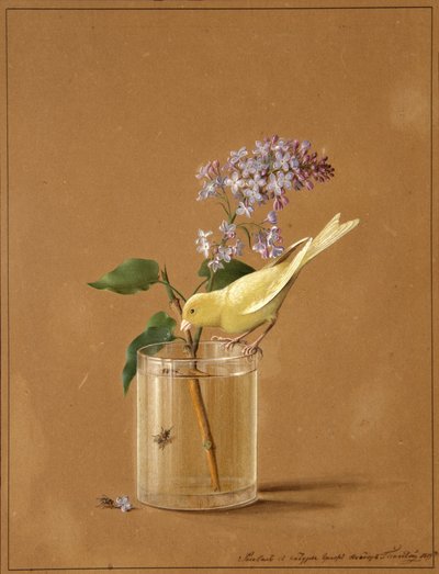 Kanarie op een Seringentakje, 1819 door Fyodor Petrovich Tolstoy