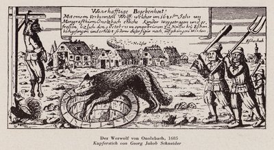 De wolf van Ansbach door G.J. Schneider