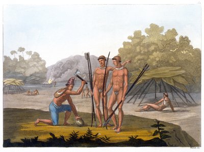 Patacho Stammen (kleurgravure) door G. Bramati