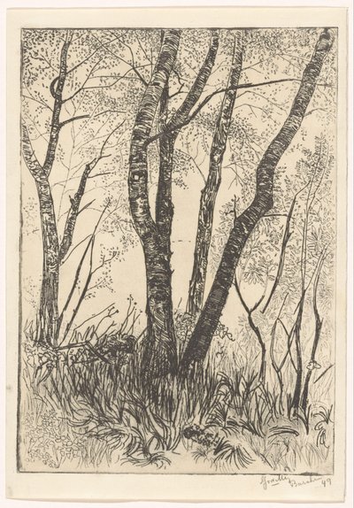 Bomen in hoog gras door G. van der Mey (signed by artist)