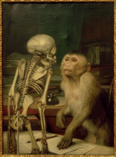 Aap voor skelet door Gabriel Cornelius Ritter von Max