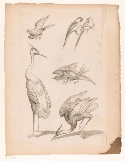 Zeven Chinese vogels, waaronder reigers en papegaaiachtigen door Gabriel Huquier (attributed to)