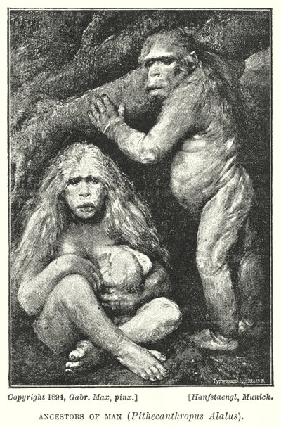 Voorouders van de mens, Pithecanthropus Alalus door Gabriel Max