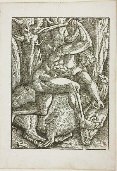 De werken van Hercules: Hercules temt het Erymanthische zwijn door Gabriel Salmon