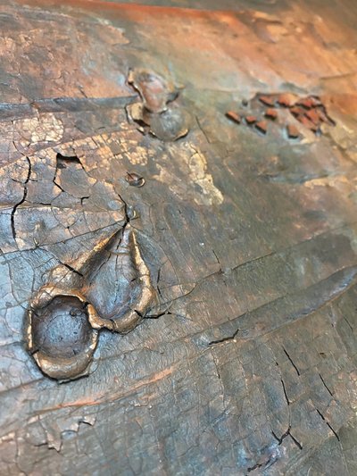  door Gabriela Aleksandra Szuba