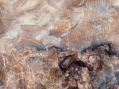  door Gabriela Aleksandra Szuba