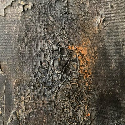  door Gabriela Aleksandra Szuba