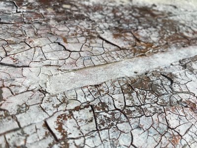  door Gabriela Aleksandra Szuba