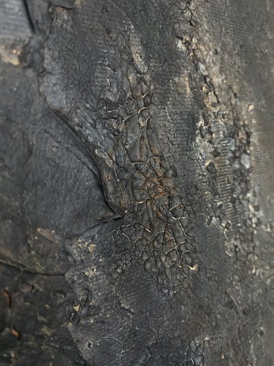  door Gabriela Aleksandra Szuba