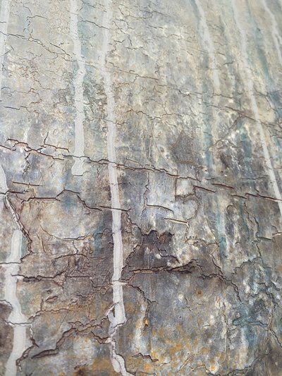  door Gabriela Aleksandra Szuba