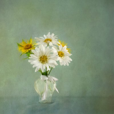  door Gaille Gray