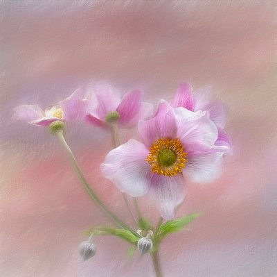  door Gaille Gray