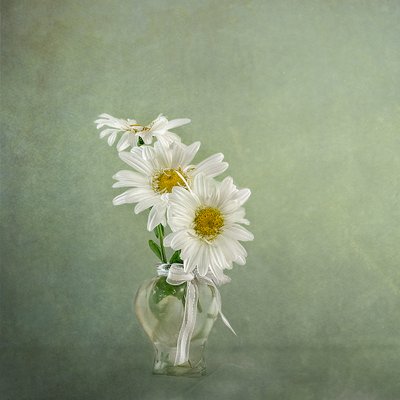  door Gaille Gray