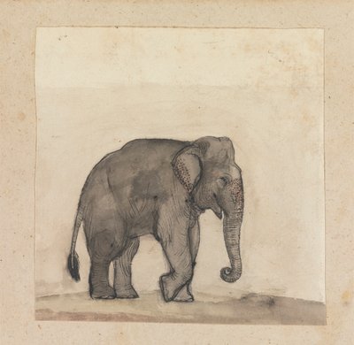 Olifant door Gangaram Chintaman Tambat