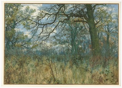 Bomen en Onderbegroeiing, 1885 door Garden William Fraser
