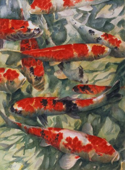 Koi Karper door Gareth Lloyd Ball