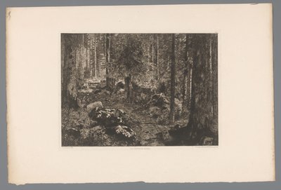 Boslandschap door Gaston Coindre