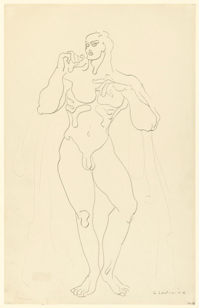 Mannelijk Naakt Nr. 12 door Gaston Lachaise