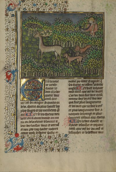 Boek van de Jacht door Gaston Phébus