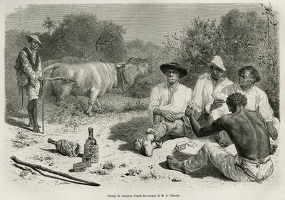 Een groep vaqueros die kaarten speelt en alcohol drinkt, nabij hun kuddes ossen, gravure naar een tekening van G. Vuillier, ter illustratie van het verhaal De Cayenne aux Andes, door Jules Crevaux, arts van de Franse marine, in 1878-1879, gepubliceerd in d door Gaston Vuillier