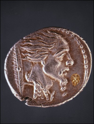 Vermoedelijk profiel van Vercingetorix op een Gallische munt. Museo del Medagliere. Milaan door Gaulish Gaulish