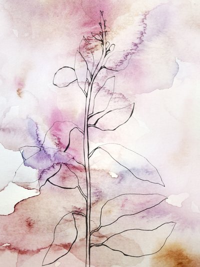 Roze aquarel met botanische motieven door Gemma Bardot