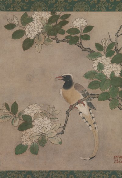 Ekster op Viburnum Tak door Genga