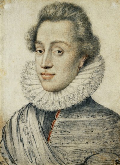 Portret van een jonge man van kwaliteit, halve lengte, in een hoge kraag door Geoffroy Dumonstier
