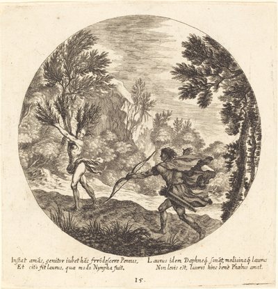 Daphne Verandert in een Laurier door Georg Andreas Wolfgang the Elder