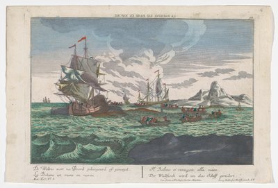 Gezicht op het roeien van de walvissen naar de schepen door Georg Balthasar Probst