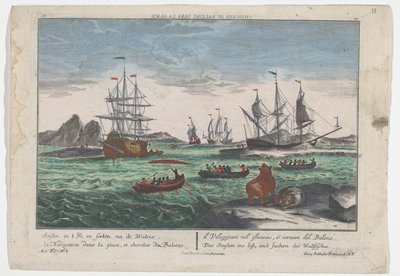 Gezicht op het zoeken naar de walvissen door Georg Balthasar Probst