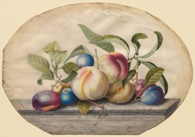 Fruitarrangement: perziken en pruimen op een marmeren plaat door Georg Dionysius Ehret