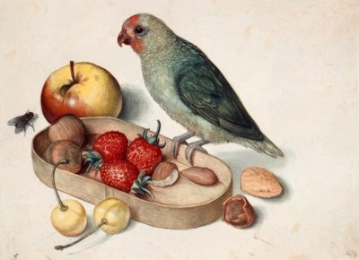 Stilleven met dwergpapegaai door Georg Flegel