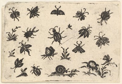 Kleine motieven van insecten en planten door Georg Herman